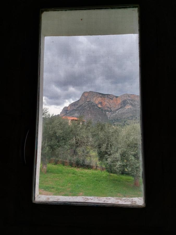 Nala'S House Διαμέρισμα Λεωνίδιο Εξωτερικό φωτογραφία